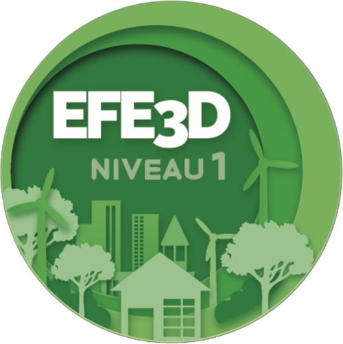 lycee-francais-international-valencia-label-partenaire-efe3D